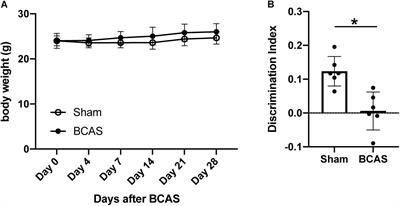 Transcriptome Profiling of Mouse Corpus Callosum After <mark class="highlighted">Cerebral Hypoperfusion</mark>